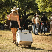 Product Feature Image